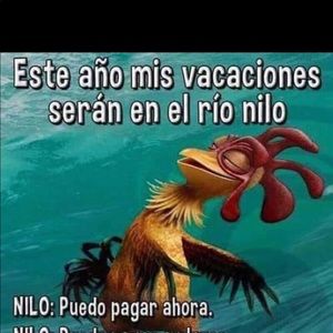 Meet your Posher, Juliet